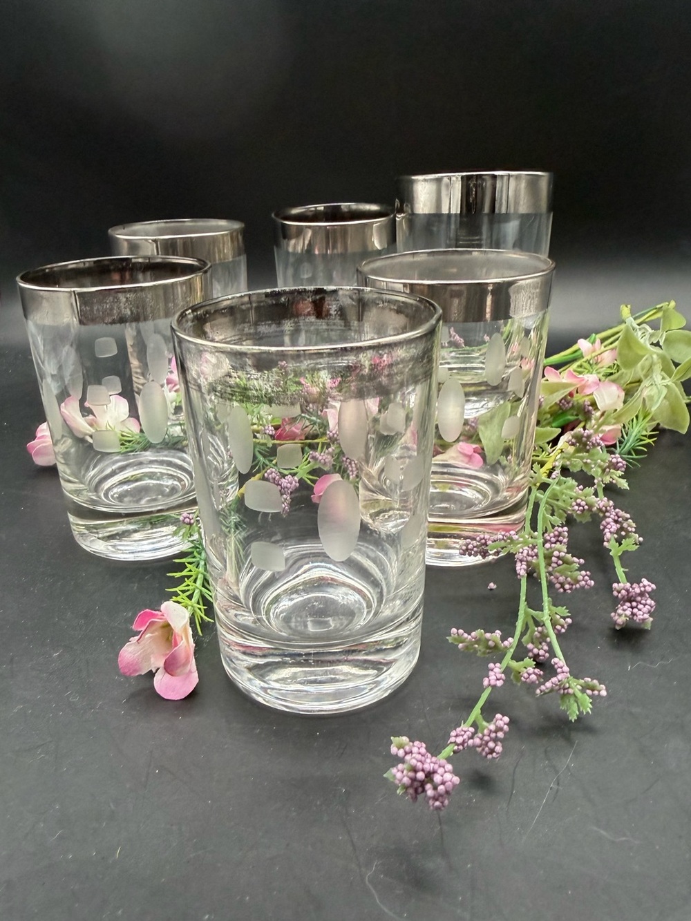Vintage Dorothy Thorpe Silver-Rimmed Clear Glass Tumbler Set - 6